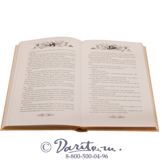 Эмар Гюстав , Книга «Сын короля»