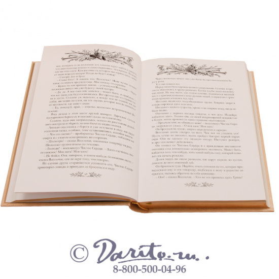 Эмар Гюстав , Книга «Чистое сердце»