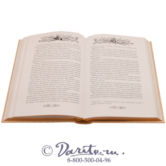 Эмар Гюстав , Книга «Чистое сердце»