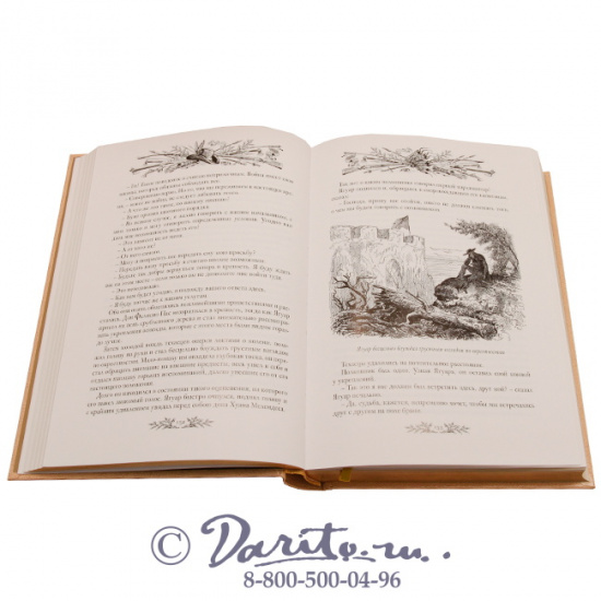 Эмар Гюстав , Книга «Вольные стрелки»