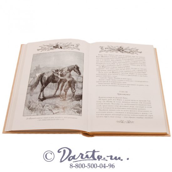 Эмар Гюстав , Книга «Охотники за пчелами»