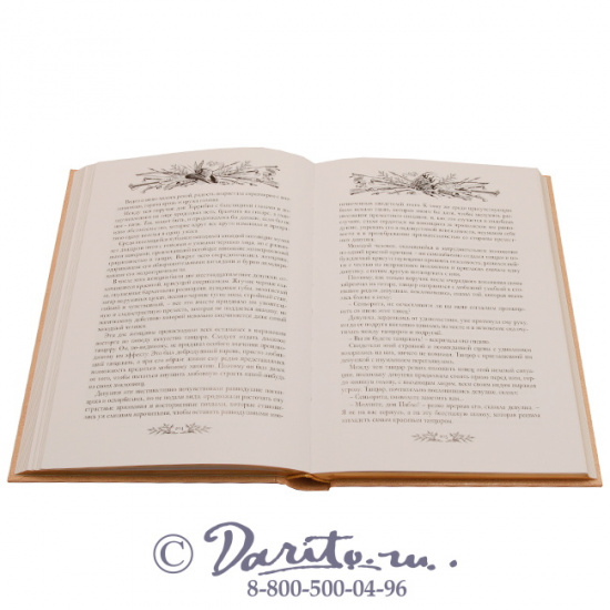 Эмар Гюстав , Книга «Охотники за пчелами»