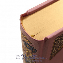 Книга «Манон Леско»