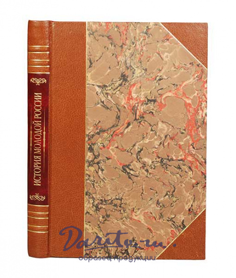 Антикварная книга «История молодой России»