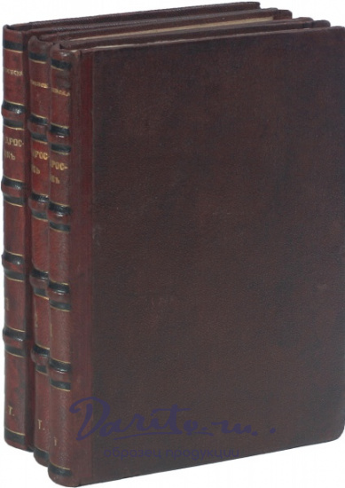 Достоевский Ф. М., Антикварная книга «Подросток»