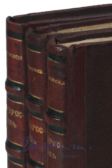 Достоевский Ф. М., Антикварная книга «Подросток»