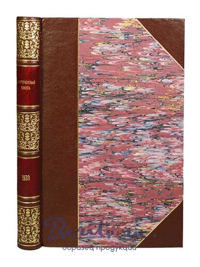 Антикварная книга «Коричневая книга о поджоге Рейхстага и гитлеровском терроре»