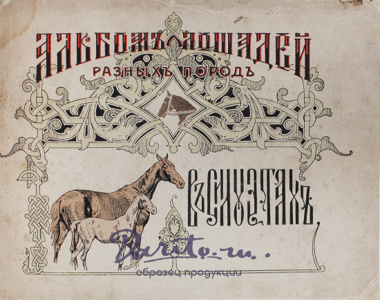 Антикварная книга «Альбом разных русских и иностранных пород лошадей»