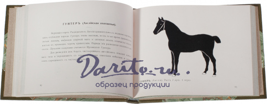 Антикварная книга «Альбом разных русских и иностранных пород лошадей»