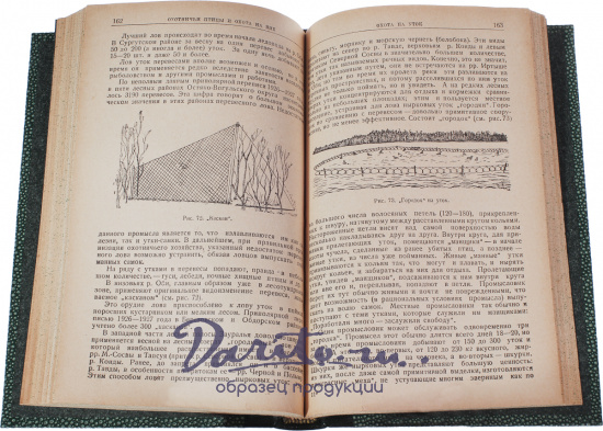 Антикварная книга «Звери и птицы Урала и охота на них»
