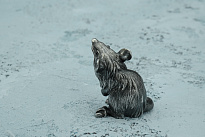 Фигурка «Мышонок»