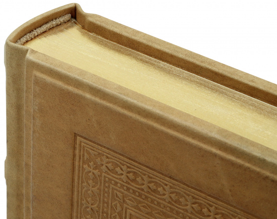 Книга «Политическая и военная жизнь Наполеона»