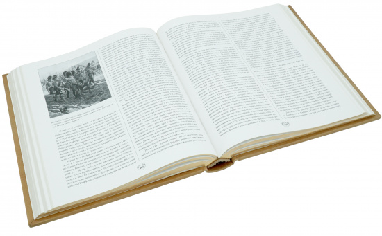 Книга «Политическая и военная жизнь Наполеона»