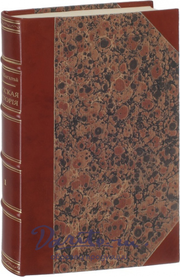 Антикварная книга «Русская История»