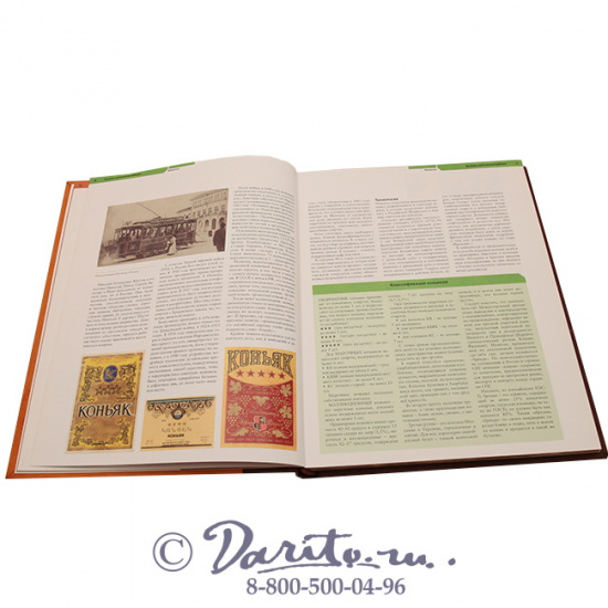 Книга «Бренди»