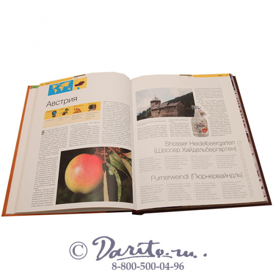 Книга «Бренди»