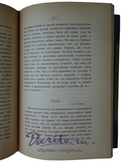 Письма С.П. Боткина из Болгарии 1877 г. (Антикварная книга 1893г.)