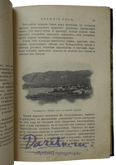 Васюков С. Край гордой красоты. Кавказское побережье Черного моря (Антикварная книга 1903г)