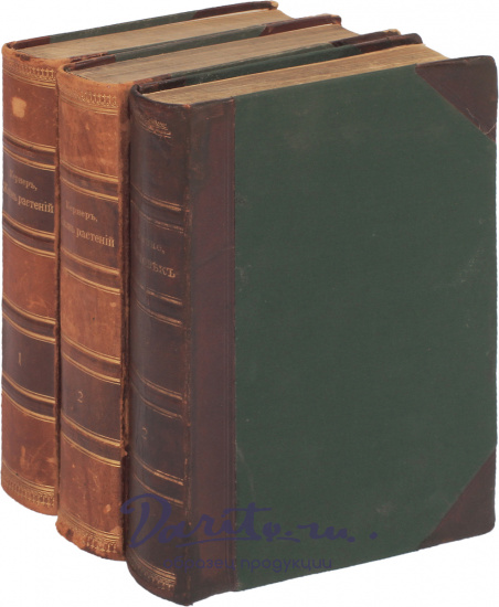 Антикварные книги «Вся природа»