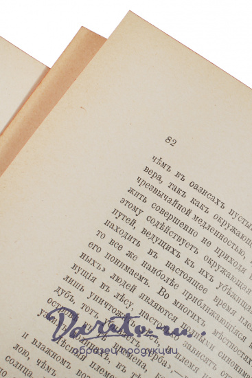 Антикварная книга «Человек и земля»
