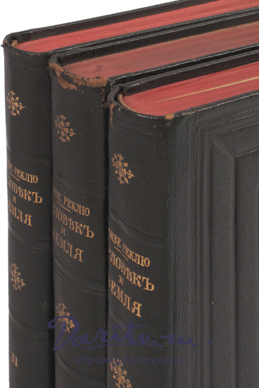 Антикварная книга «Человек и земля»
