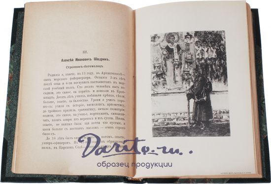 Антикварная книга «Иллюстрированные автобиографии нескольких незамечательных русских людей»