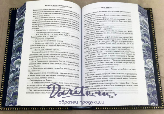 «Великий Гэтсби. Ночь нежна ...»