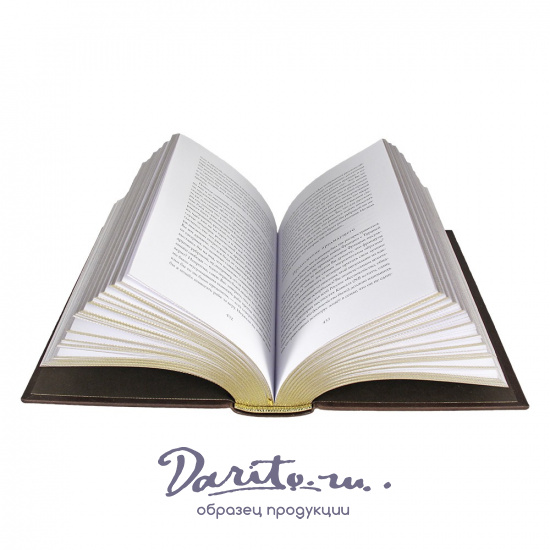 Сила и правда России. Ф. М. Достоевский подарочная книга.