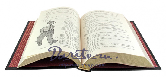 Подарочная книга Аверченко А.Т. Экспедиция в Западную Европу