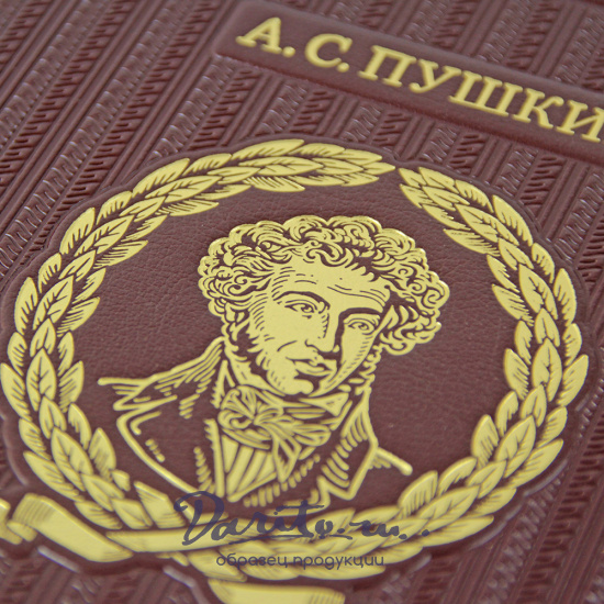 Подарочное издание «Пушкин А.С. Избранные стихотворения с иллюстрациями и комментариями»