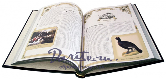 Подарочное издание. Большая книга русской охоты в кожаном переплете с тиснением золотой фольгой