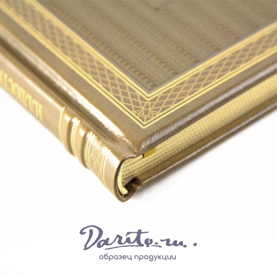 Подарочное издание. Иллюстрированная история медицины в кожаном переплете