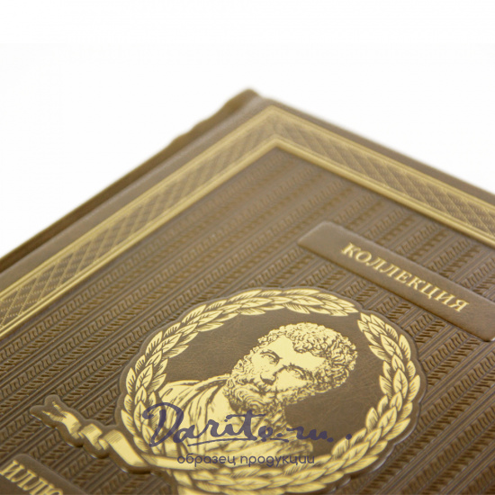 Подарочное издание. Иллюстрированная история медицины в кожаном переплете