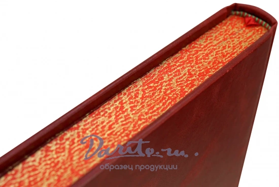 Женщины, которые изменили мир. Оленцова Наталья. Подарочная книга в кожаном футляре.