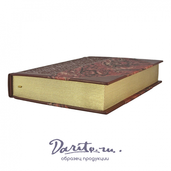 Естественный отбор. А.Звягинцев подарочная книга.