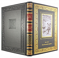 Подарочная книга «Влюбленный дьявол»