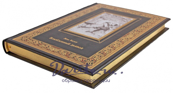 Подарочная книга «Влюбленный дьявол»