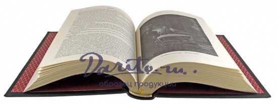 Подарочное издание. Дракула. Гость Дракулы в кожаном переплете с тиснением