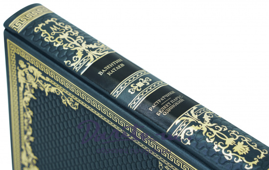 Книга в подарок «Растратчики. Белеет парус одинокий»