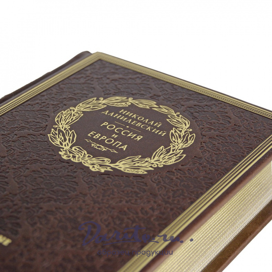 Россия и Европа. Н. Я. Данилевский подарочная книга.