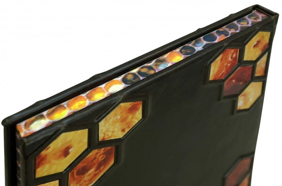 Книга «Энциклопедия пчеловодства»