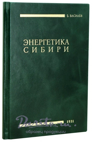 Энергетика Сибири Василев Б. Антикварная книга 1931 год