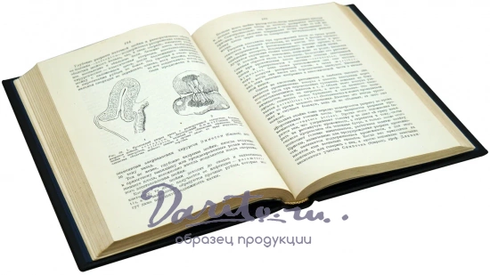 «Мeдицинcкая гинeкoлогия или гинeкoлoгия пpактического врaчa»