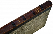 О циррозе печени. Кабанов Н.А. Антикварная книга 1894 год.