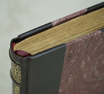 Русские орлы. Историческая повесть из эпохи 1812, 1813 и 1814г. Антикварная книга 1901 г.