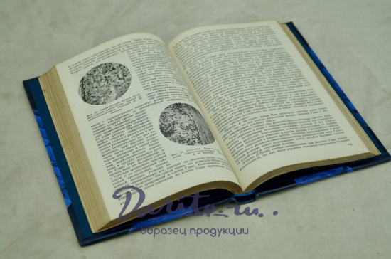 Талейран. Е.В. Тарле. Антикварная книга 1948 год.