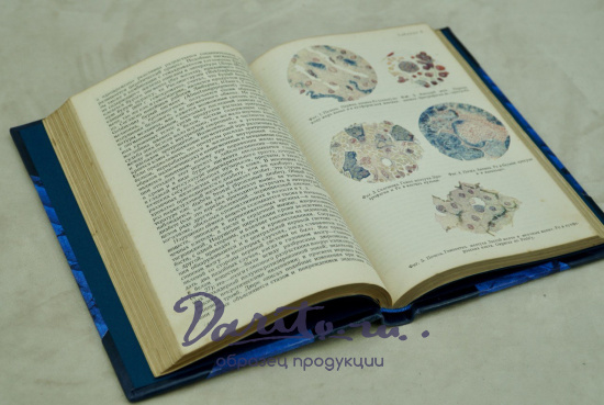 Талейран. Е.В. Тарле. Антикварная книга 1948 год.