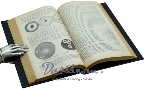 Гамалея Н.Ф. Учебник медицинской микробиологии. Антикварная книга 1940г.
