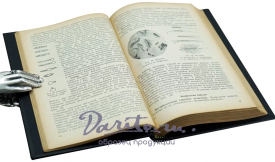 Гамалея Н.Ф. Учебник медицинской микробиологии. Антикварная книга 1940г.