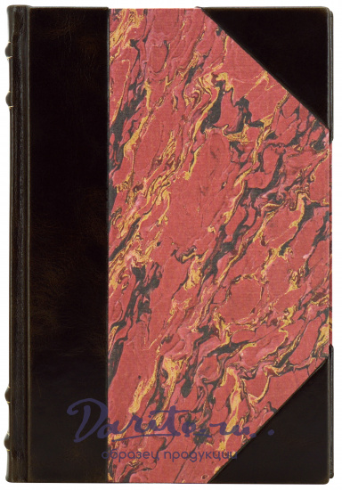 Учение об эпидемиях. Готштейн А., Добрейцер И. Антикварная книга 1933 год. 